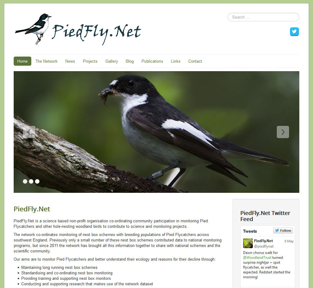 PiedFly.net