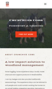 Crunchies Cobs